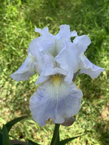 21770B48-1EB8-4926-B400-2E8035E1CB85