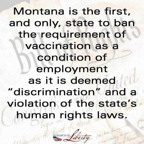 GkXxCD1yuJR5PIlsmhKB_03_d3307f503df7c5cade7bd40f68e089f3_image