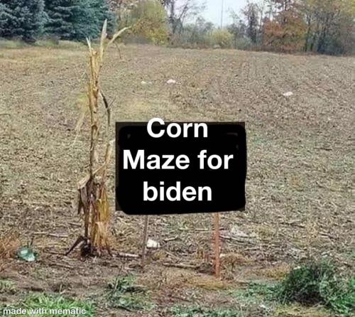 corn maze for biden