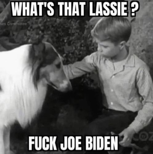 98D9BE8F-BDDC-4881-8AC0-ED48504552AA