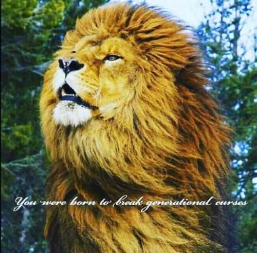 photo_2021-10-19_08-31-01