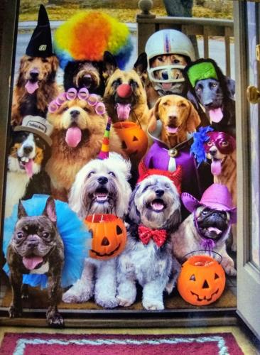 IMG_20211027_153756872