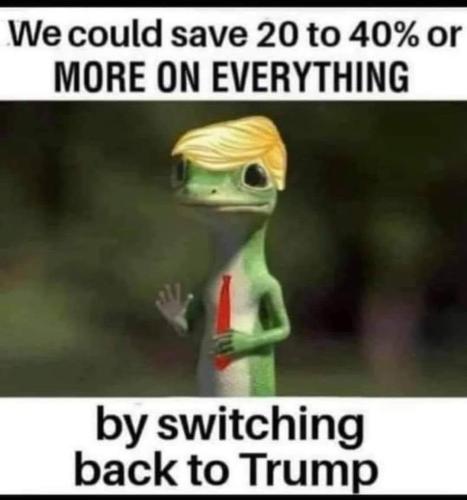 FB_IMG_1621889504682_369302706855735