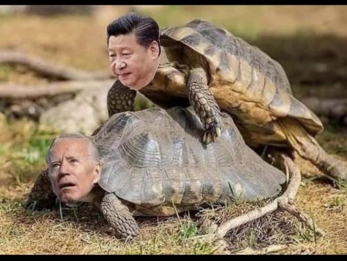 03D5FD38-0C8E-4C81-9AEC-FEF12842DC3A