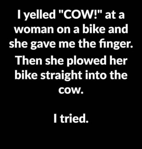 I yelled cow