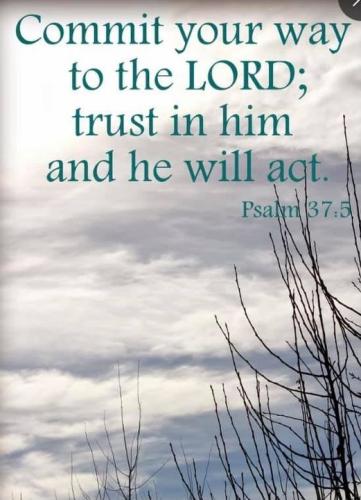 242969119_1319836868473933_4141789904603303556_n