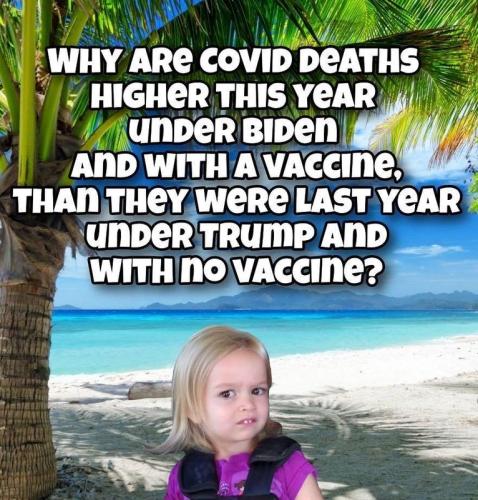 27f108158371f96eac01437a54a626e8_1024