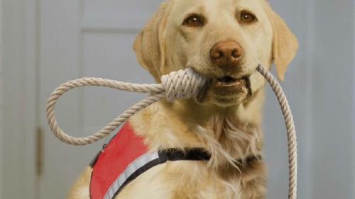 image_1635095401.214