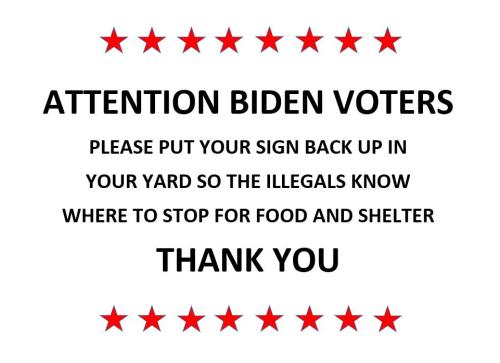 Biden voters