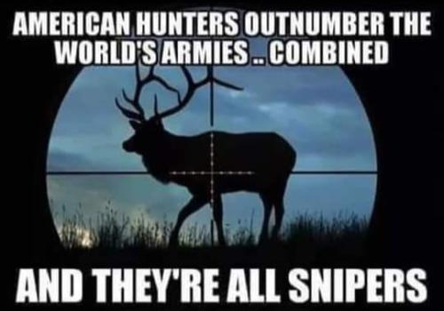 GunControl377