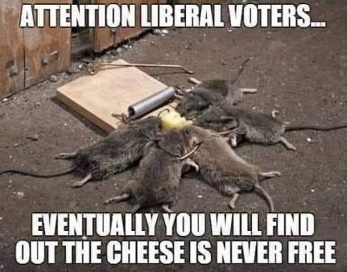 R lib voters