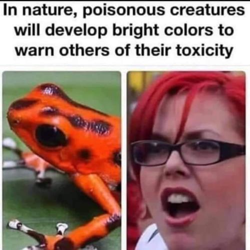 249456562_100889342400610_8665980958456347881_n