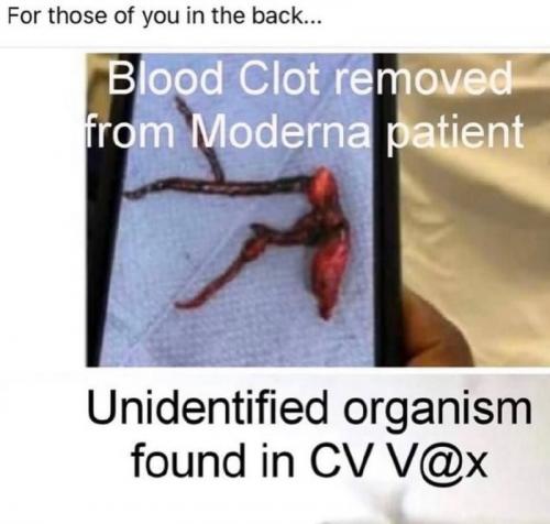 5105028051518990740_120