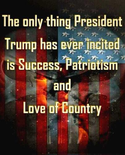 TRUMP INCITED
