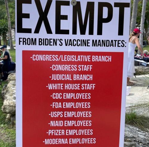 0f5d3321c505f2f40cf32b6cf31966dd_500x0