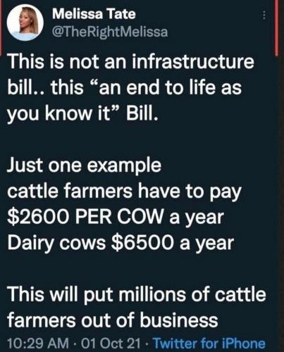 tax on cows