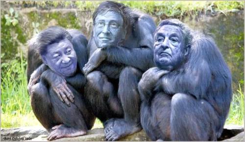 244897780_938608723667198_749026713960838051_n