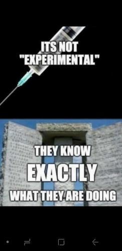 IMG_20210819_185936_246