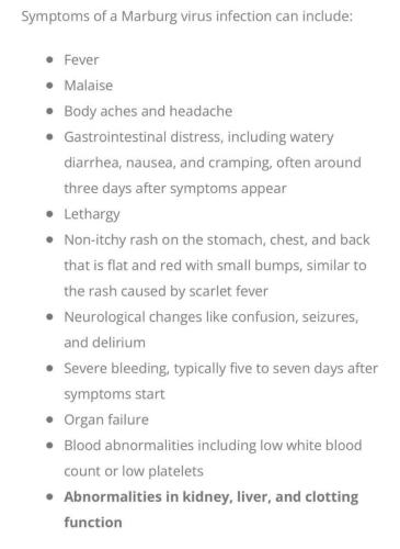 enYSbv3VTZLVqWrDijca_08_ae33beeae4373473376f5858d4de177c_image