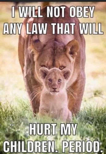 hurt my children