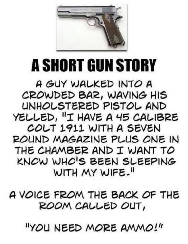 GunsLevity4
