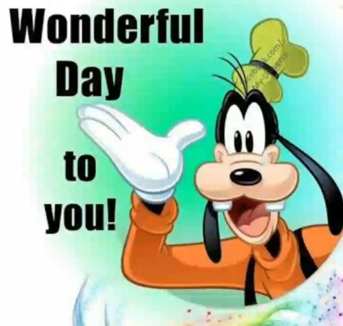 Screenshot_20211015-085100_Gallery