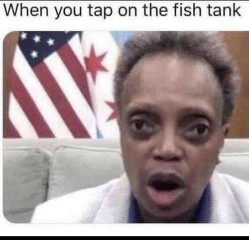 6FEC9849-8B61-410B-8362-4A0CEFD89E70