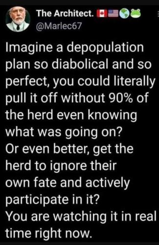 photo_2021-10-22_19-22-05