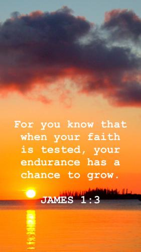 F67B0F32-694C-4260-A6BC-B3885BBCA1CC