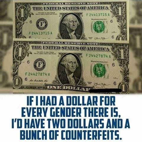 A Dollar for Every Gender