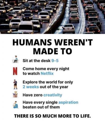 0755AE76-E69D-4F9D-8F83-4506E67C6954