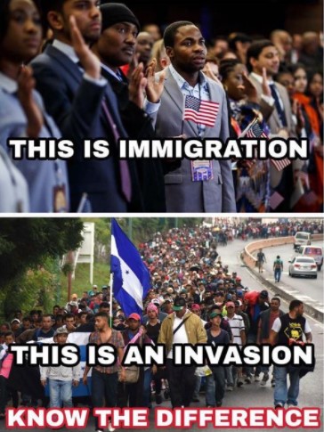 immigrationvsinvasion