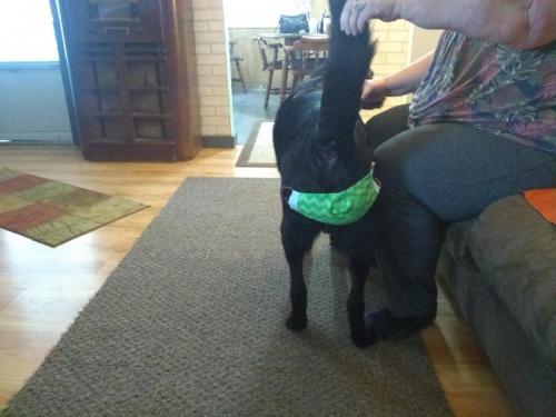 IMG_20211006_175200227