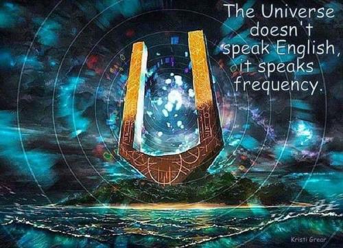 meme universe speaks frequency