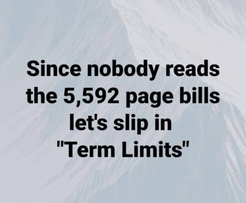 M term limits