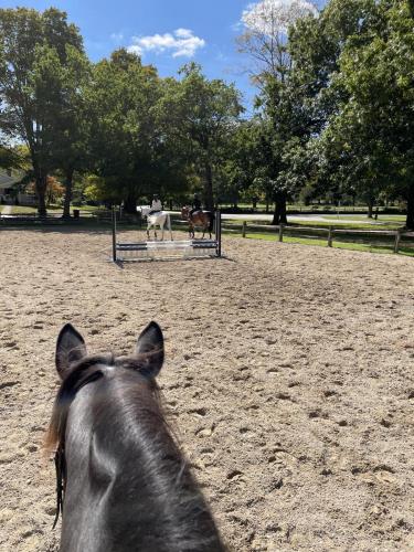 5810B7B1-BCCB-4CF2-82B6-5E8156485398