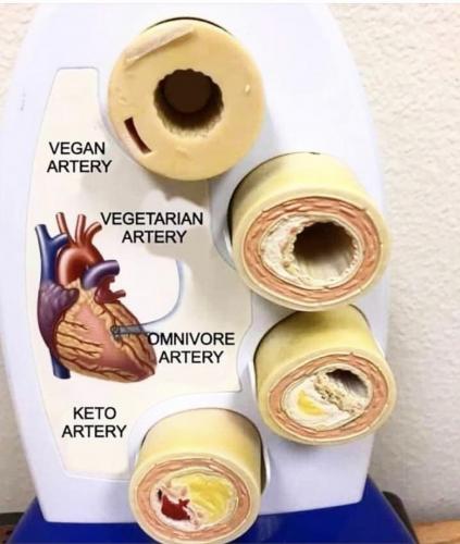 53621011-FC1D-4B66-AE03-C162799E509B