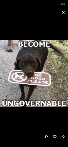 72D88629-2701-4D8B-B123-8F2B4491917B