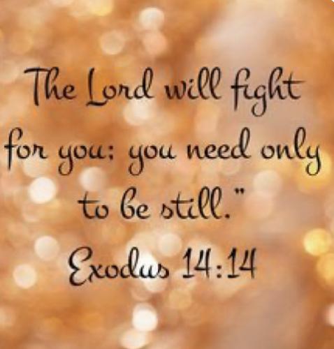 FB1E506A-4DE9-4285-A14C-38AC8DFD056B