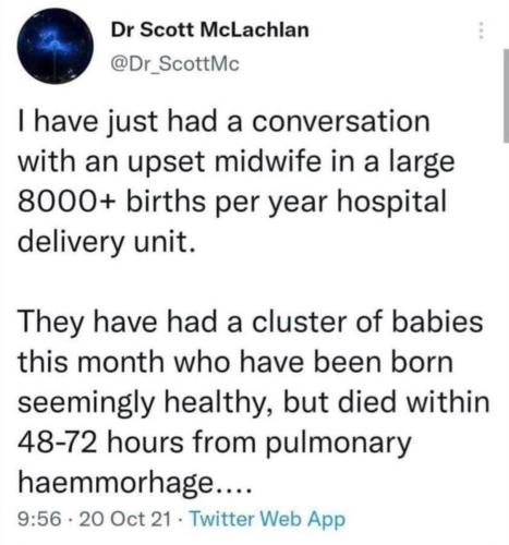 ClusterOfDeadBabies1