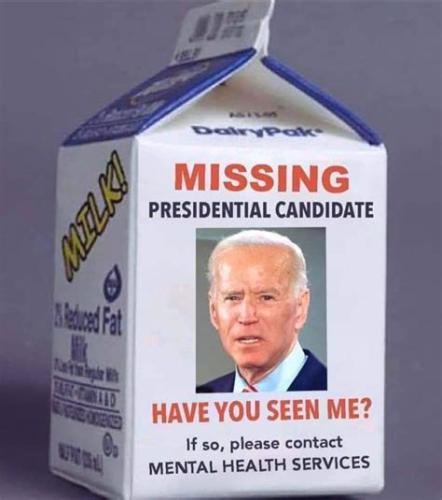 hiden biden