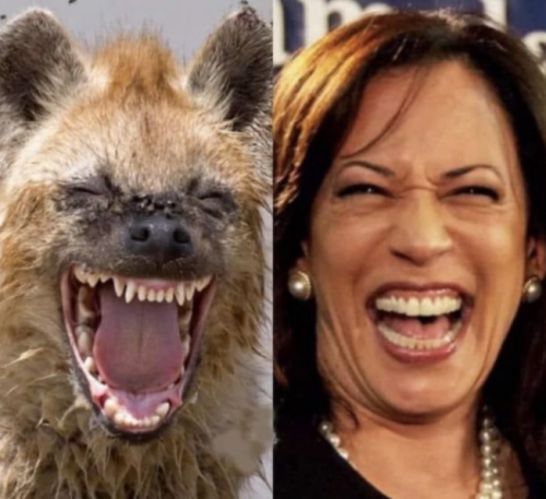 Capture+_2021-10-30-00-09-29(1)