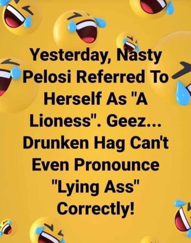 Pelosi - Lyin' ass
