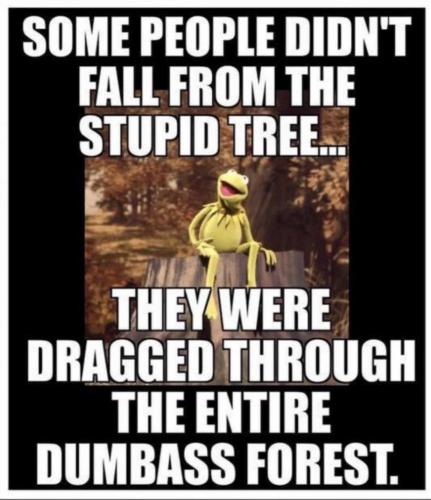 678414CD-BD29-49B1-8697-C5D45BD10618