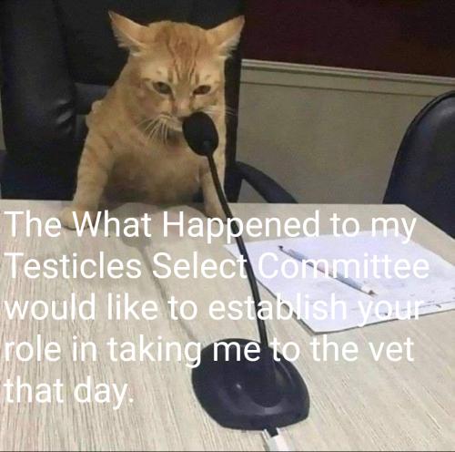 image_1635011474.915