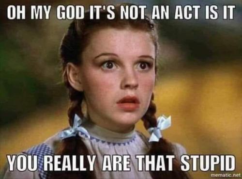 119671365_3289009777801734_1868484960019776580_n