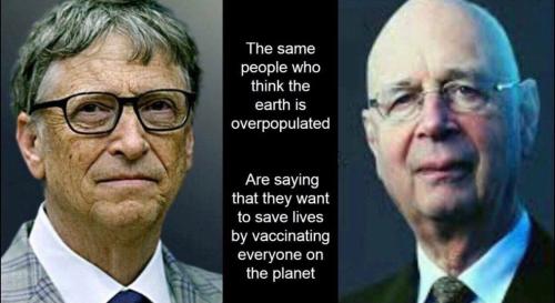 image_1634495851.911