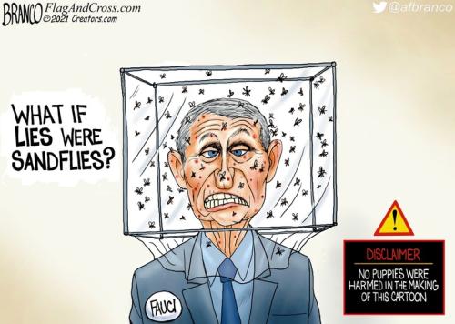 bugs