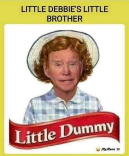 biden little dummy