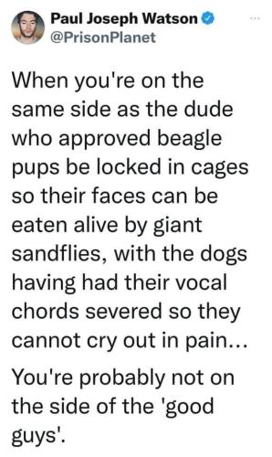 5692137a85efc163 (1)